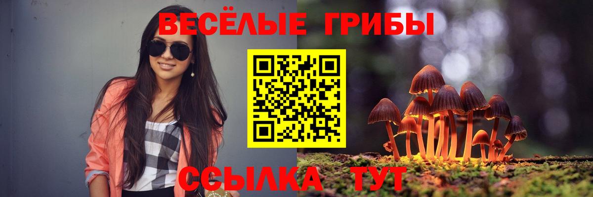 Псилоцибиновые грибы мухоморы Мариинск